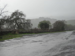 rainy creek road
