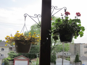 hanging pot of flowers