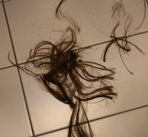 hair clippings2