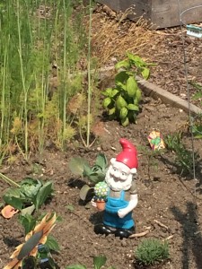 gnome in garden