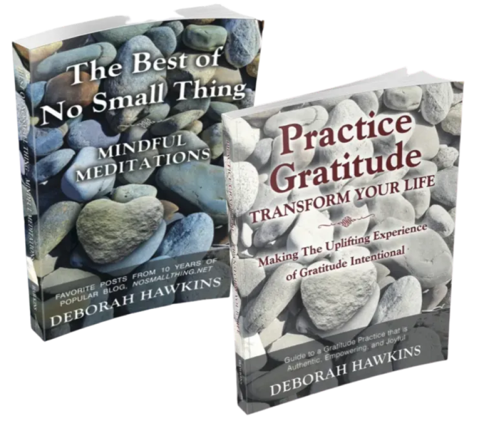 The Best of No Small Thing and Practice Gratitude by Deborah Hawkins